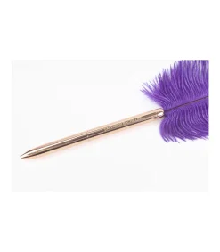 Bolígrafo Pluma Stationary