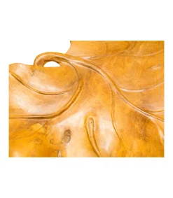 Hoja Madera Suelo