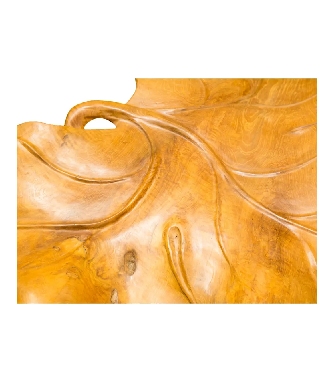 Hoja Madera Suelo