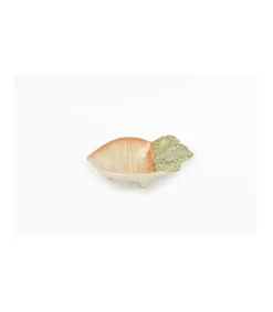 Platito Zanahoria 11x8x3.2cm Love&home