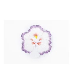 Plato Diametro Flor Pintado A Mano 24cm Love&home