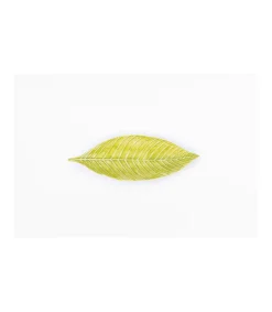 Plato Hoja 23x8x3cm Love&home