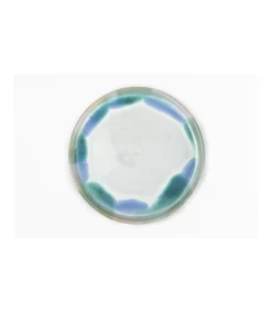 Plato 20x2.5cm Love&home
