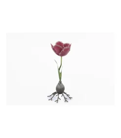 Portavelas Tulipan Alto 25cm Love&home