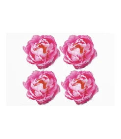 Set De 4 Salvamanteles Love&home